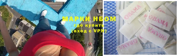 крисы Белокуриха