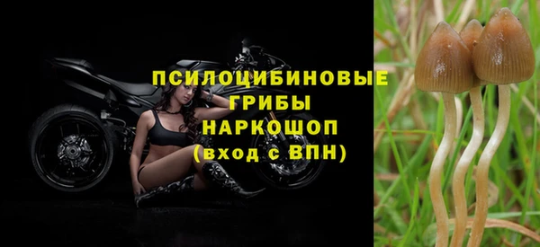 крисы Белокуриха