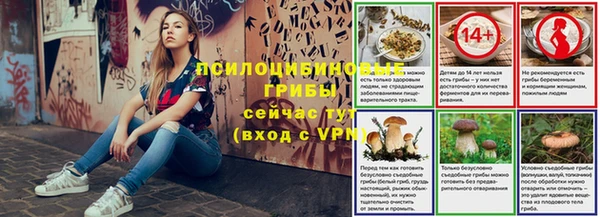 крисы Белокуриха
