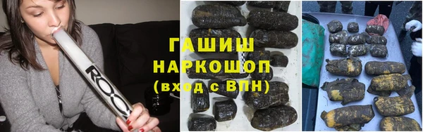 крисы Белокуриха