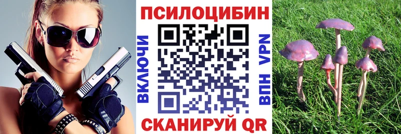 shop формула Реж Псилоцибиновые грибы GOLDEN TEACHER