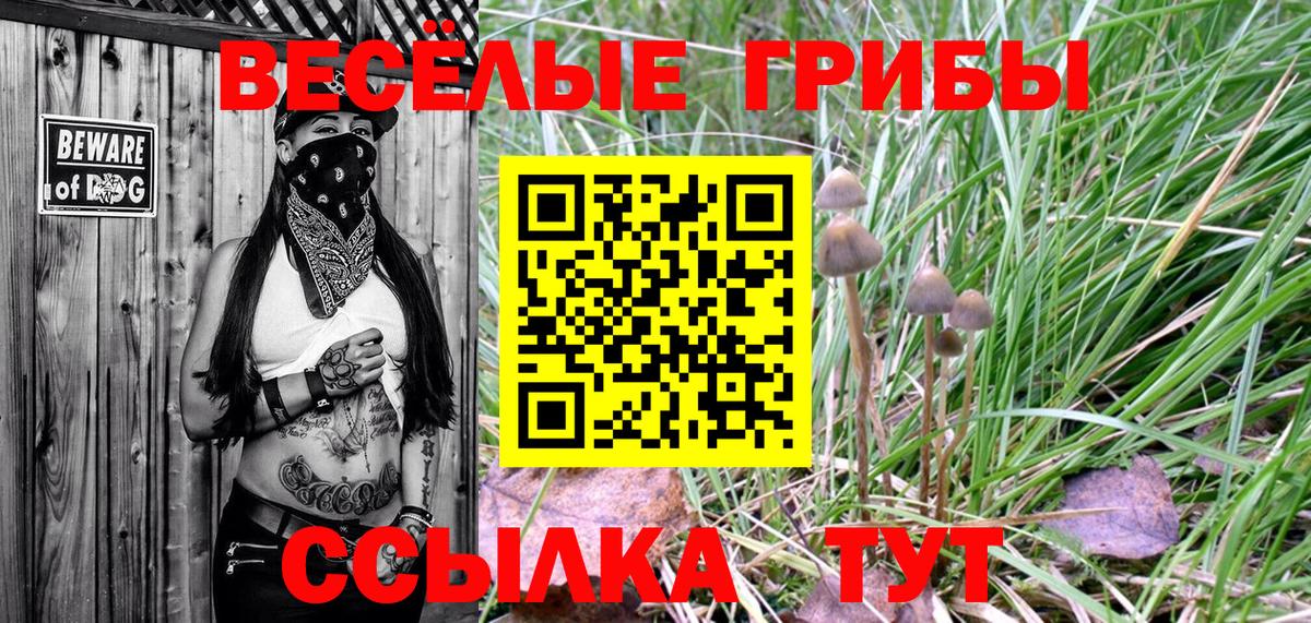 Галлюциногенные грибы MAGIC MUSHROOMS Реж